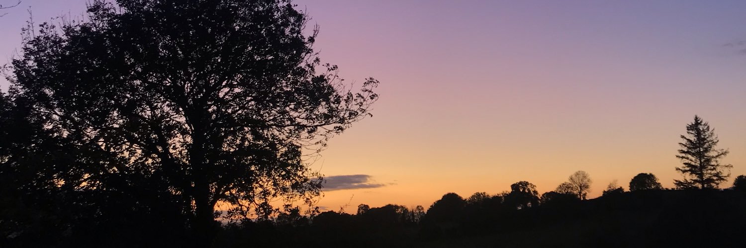 isabeleannetta1's profile banner image