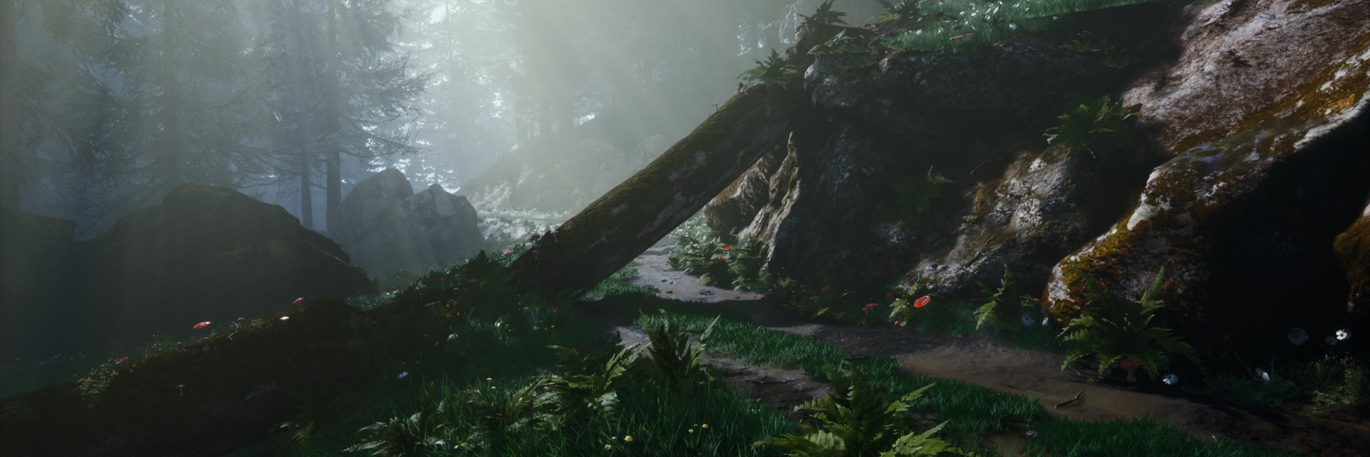 ckutalec's profile banner image