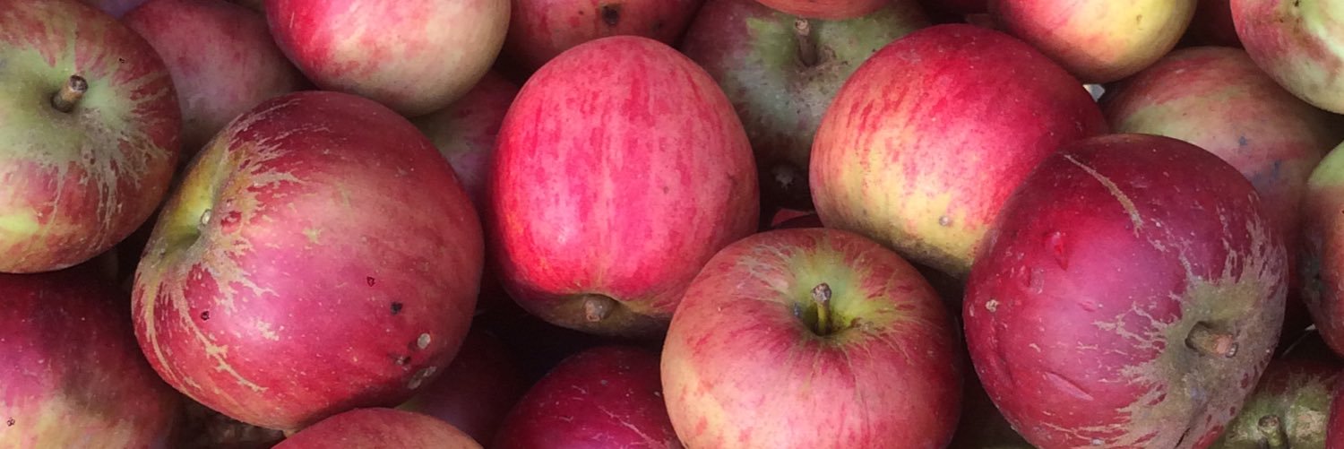 cider_dork's profile banner image