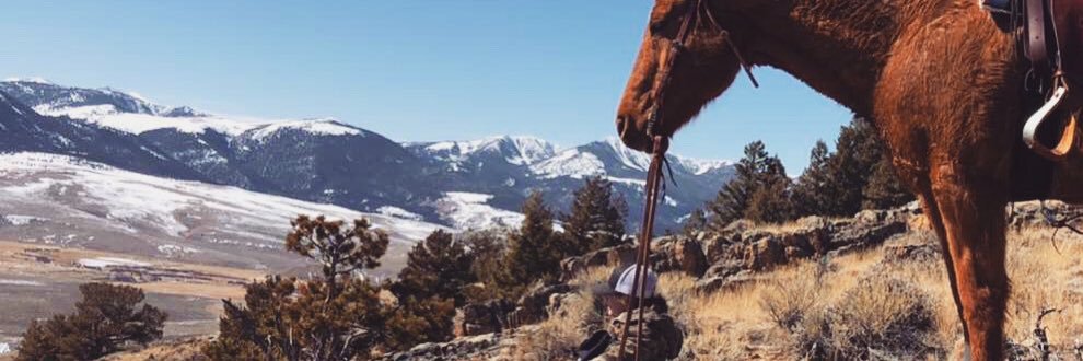 ameliabeard18's profile banner image