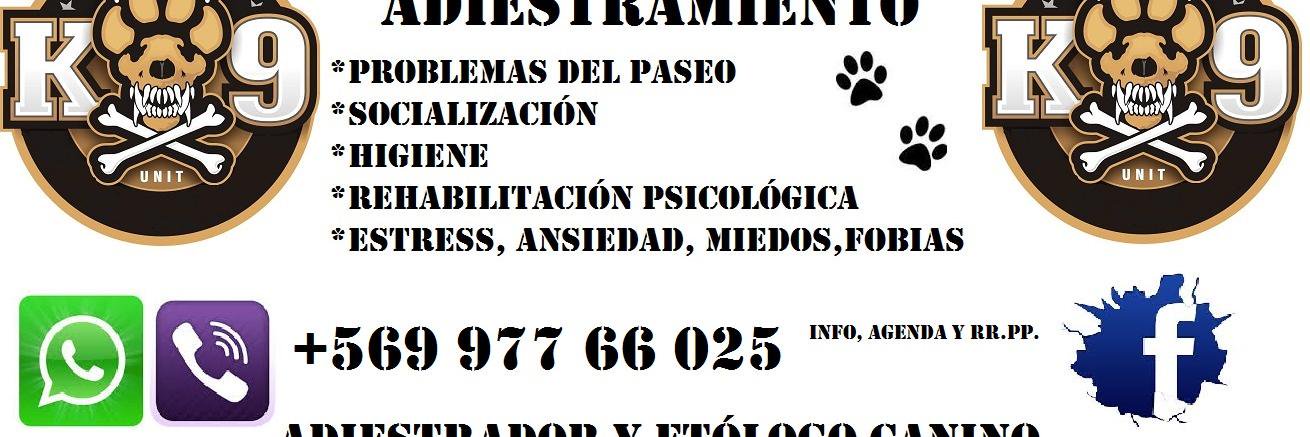 Perros_educados's profile banner image