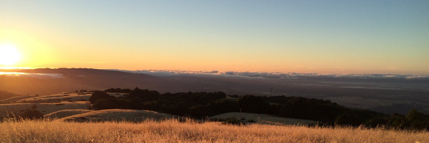 Michael Herstine banner