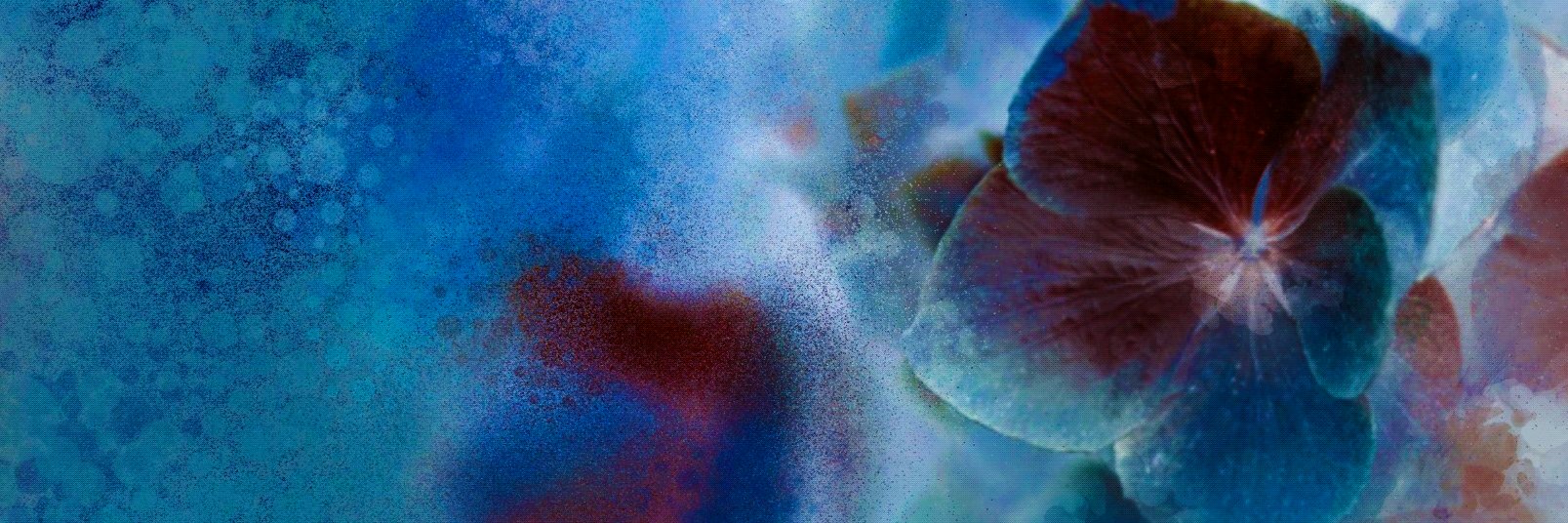 GillsMusique's profile banner image