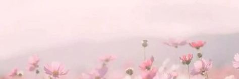 jesszyyy's profile banner image
