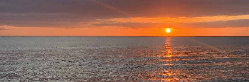 GuillerminaF20's profile banner image