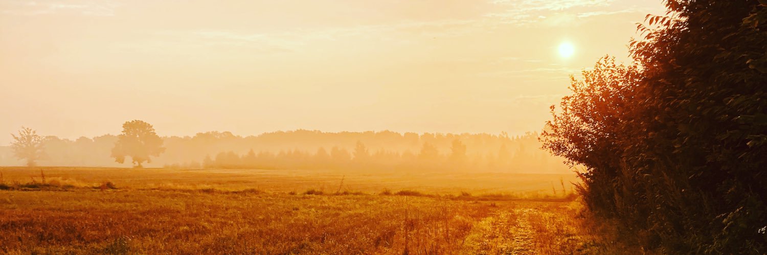 LinnBlondine's profile banner image