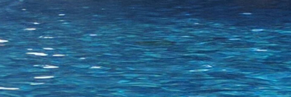 herp_7's profile banner image
