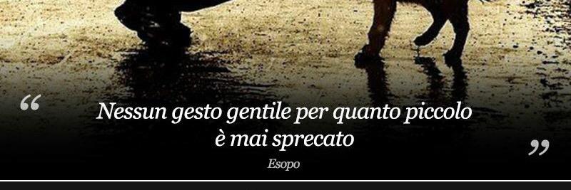 ausuelli's profile banner image