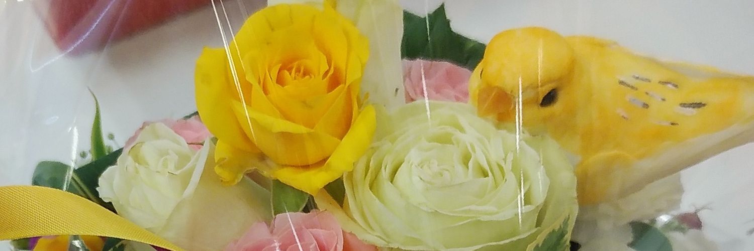 sakuraredbox's profile banner image