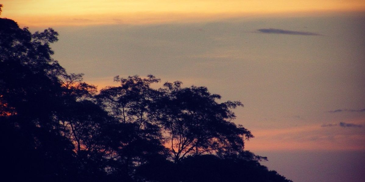 ASCLEPIA23's profile banner image