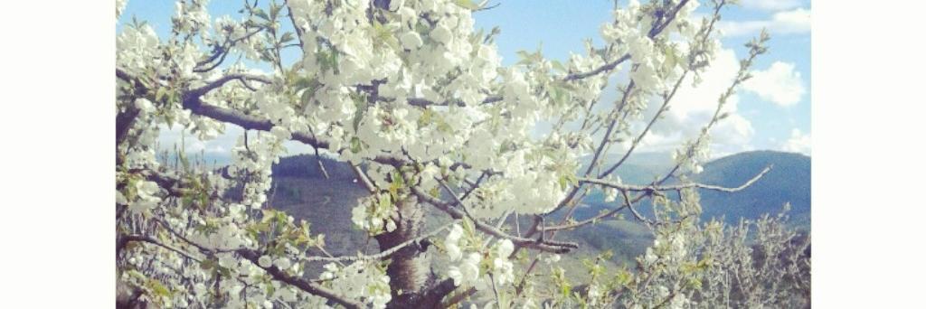 Andreadj_96's profile banner image