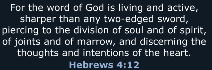 Alberto Lopez banner