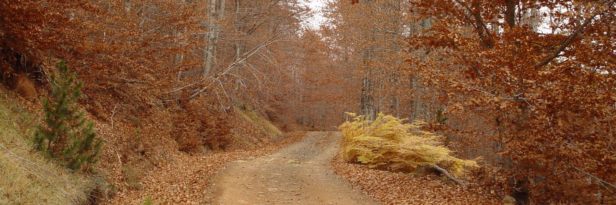 Ion Androutsopoulos banner
