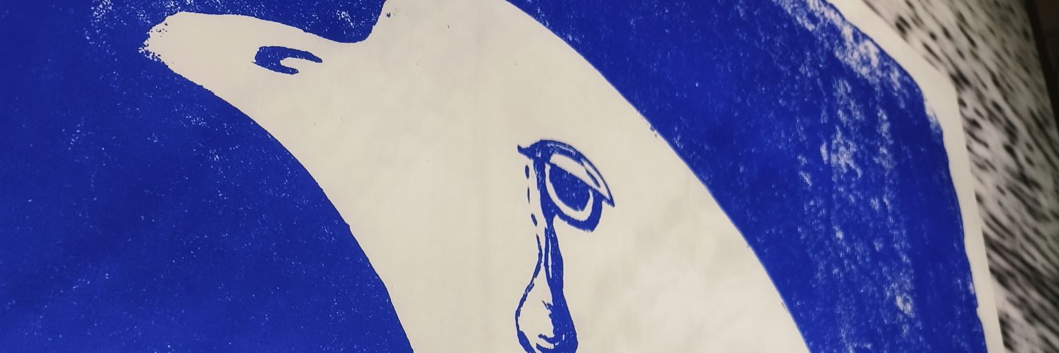 Pirate_Fly's profile banner image