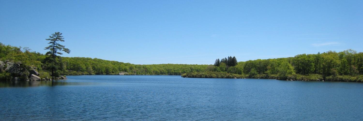 David Snitkof 🇮🇱🇺🇸 banner