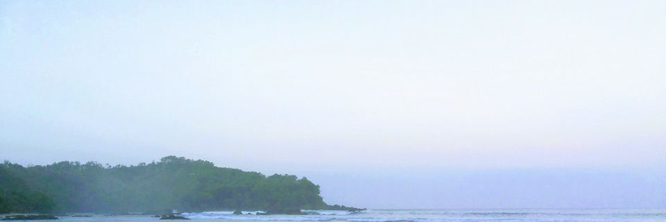 leonardoganank's profile banner image
