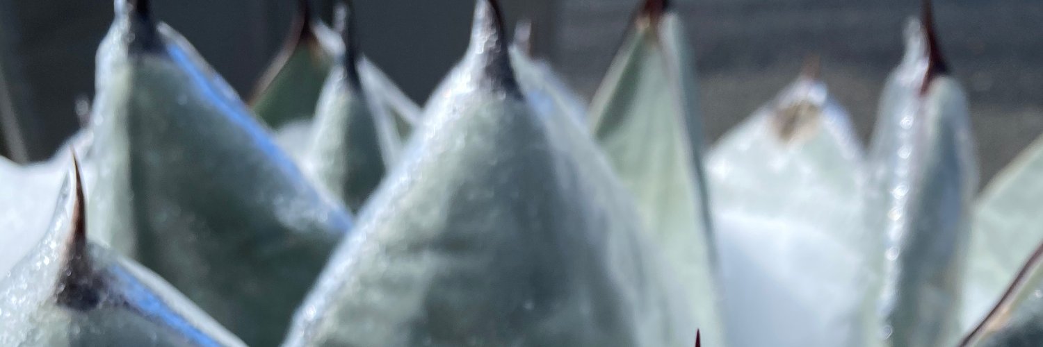 bdnplatt's profile banner image
