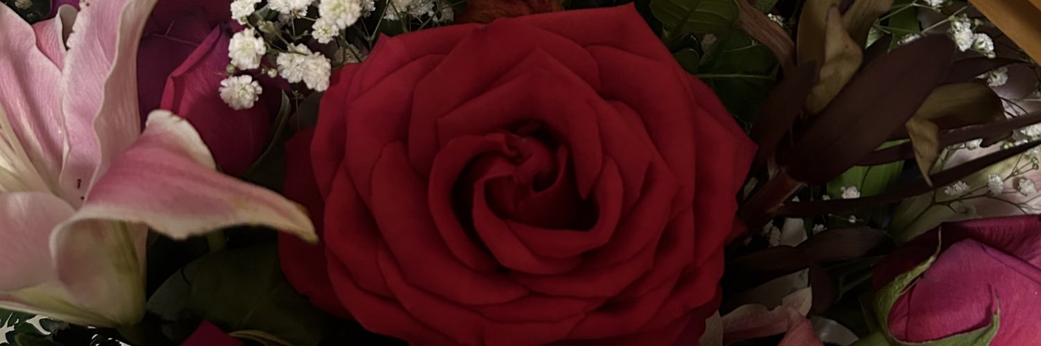 shepradaa's profile banner image