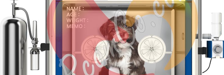 RcomCompany's profile banner image