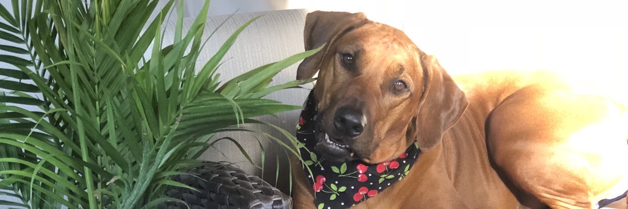 itworksshawn's profile banner image
