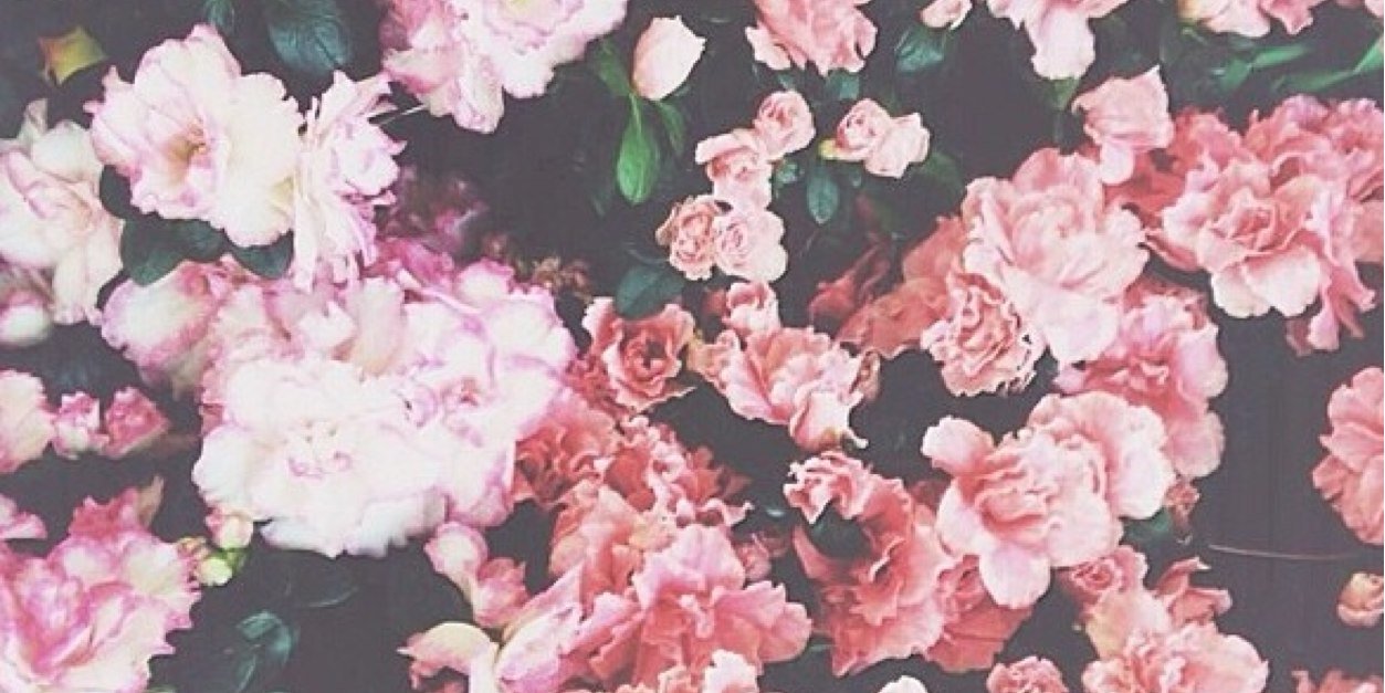 Gempurry's profile banner image