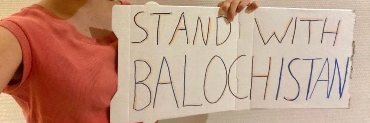 FREE BIRD 🕊 📵 banner