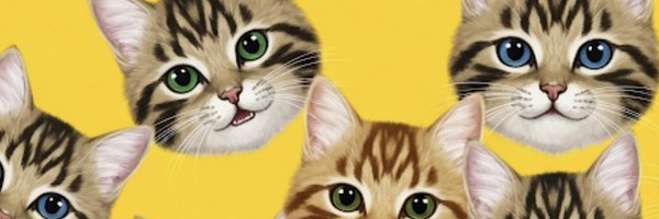 HINA_sle Profile Banner