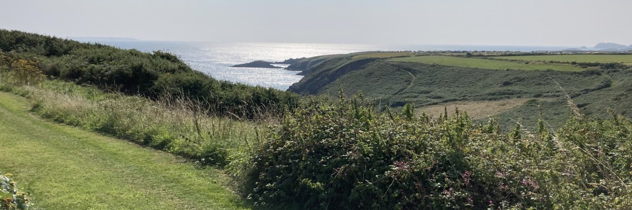 Nick Bent FRSA banner