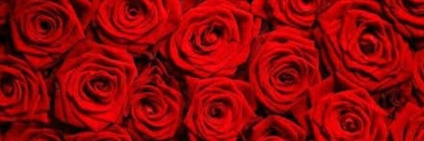 somethingxls's profile banner image