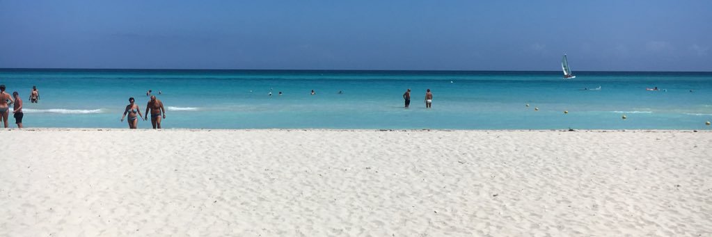 Gingeee_96's profile banner image