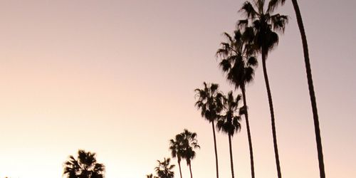 Parkerstty's profile banner image