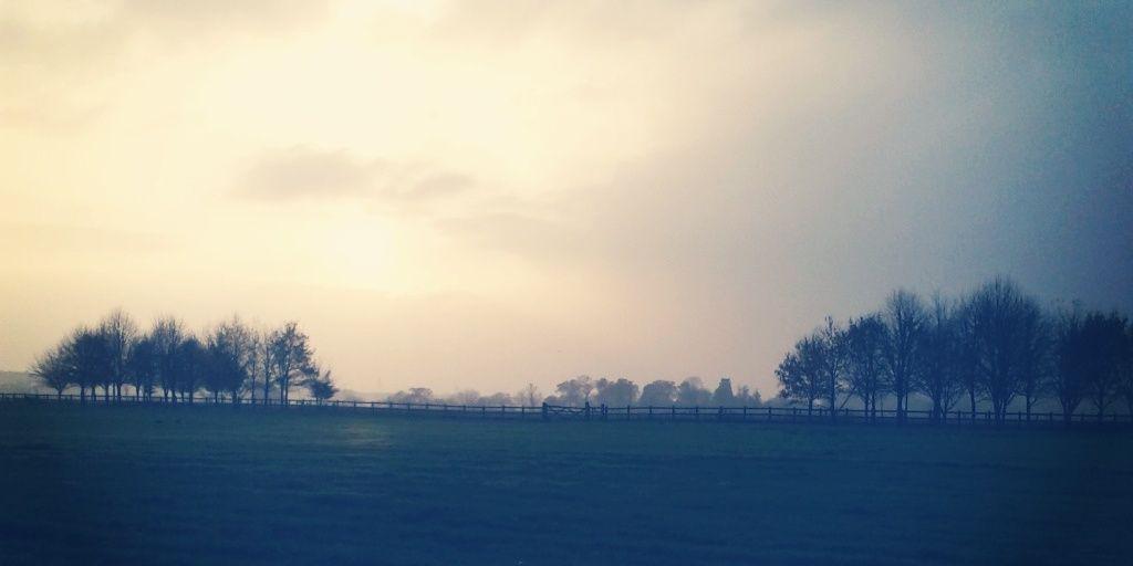 jadewoodss's profile banner image