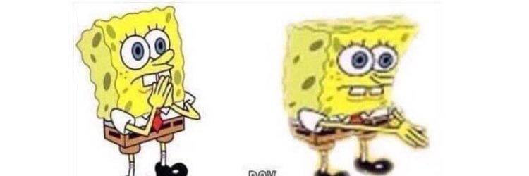 Dickinson Softball banner