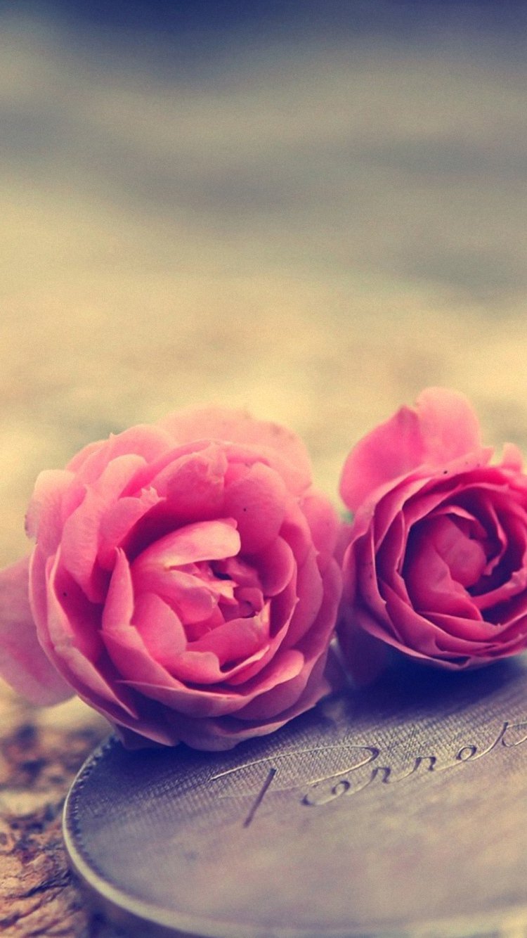 varga_rita's profile banner image