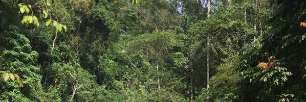 mohdramadhan2's profile banner image