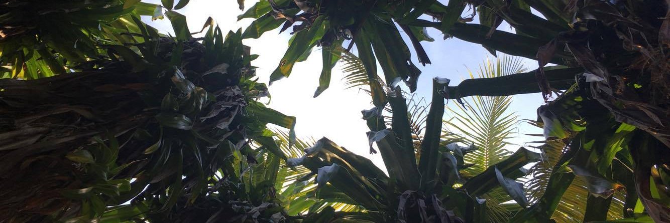 Emma Bozek (Blackwell) banner