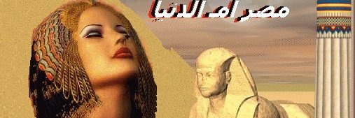 elsadq55's profile banner image