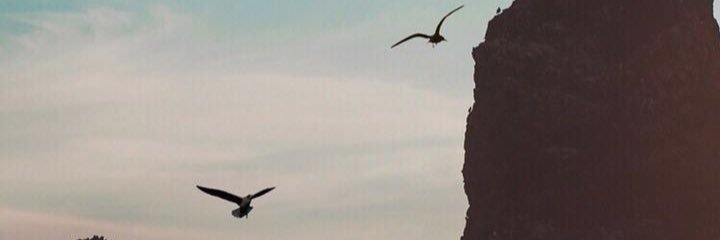 Thamriinho's profile banner image