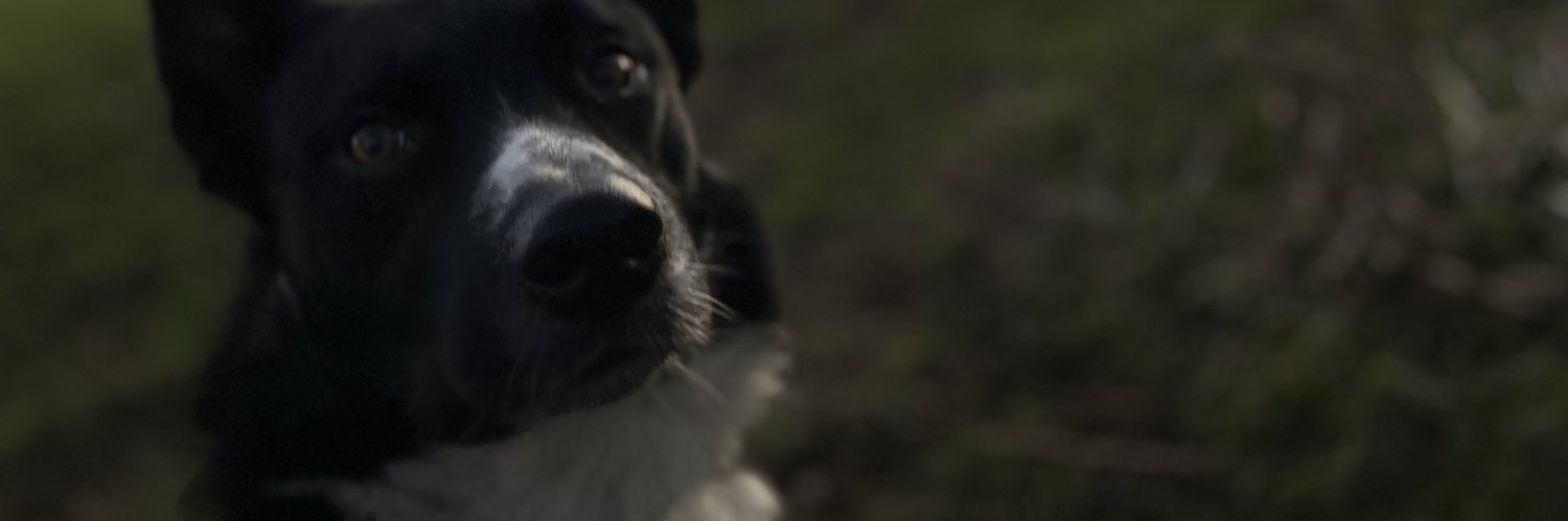Bussey_'s profile banner image