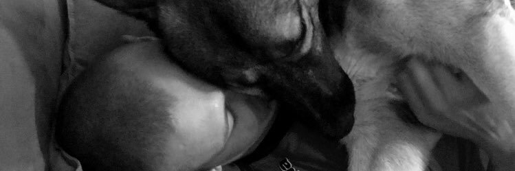 P_aaauliine's profile banner image
