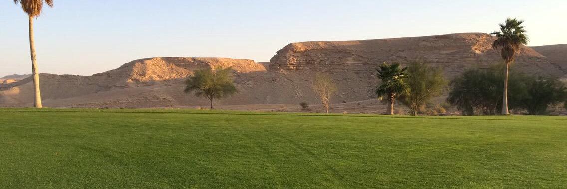 Moayed316's profile banner image