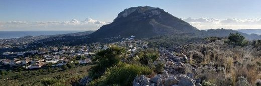 julioasuncion@hotmail.com banner