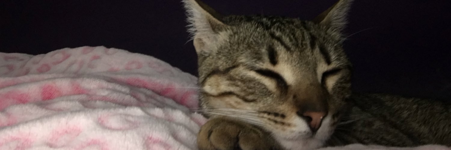 JoseAntoniowolf's profile banner image