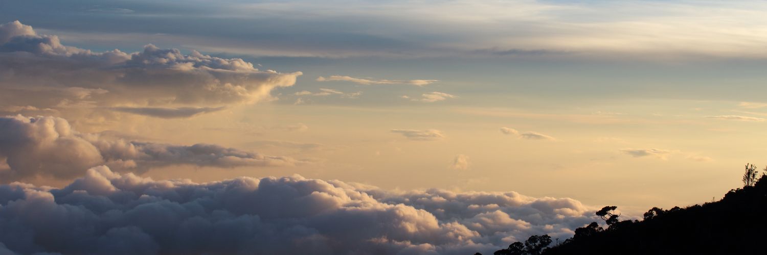 shanuja22's profile banner image