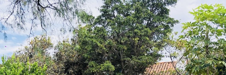 darleon89's profile banner image