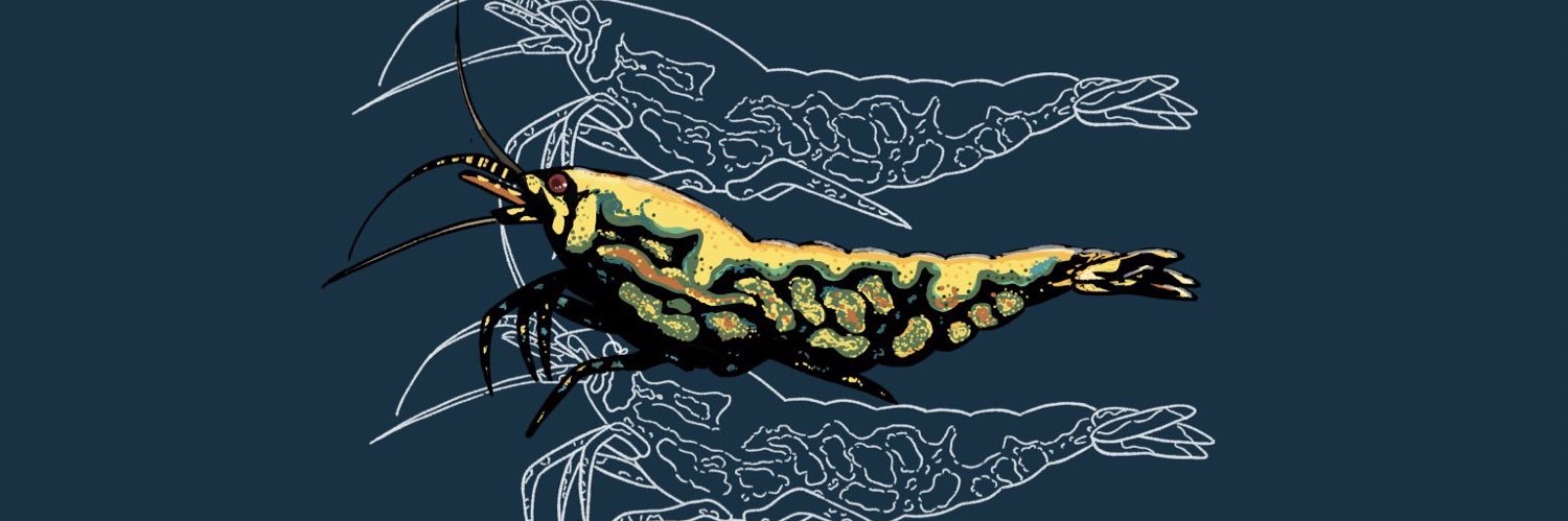 enmaebi's profile banner image