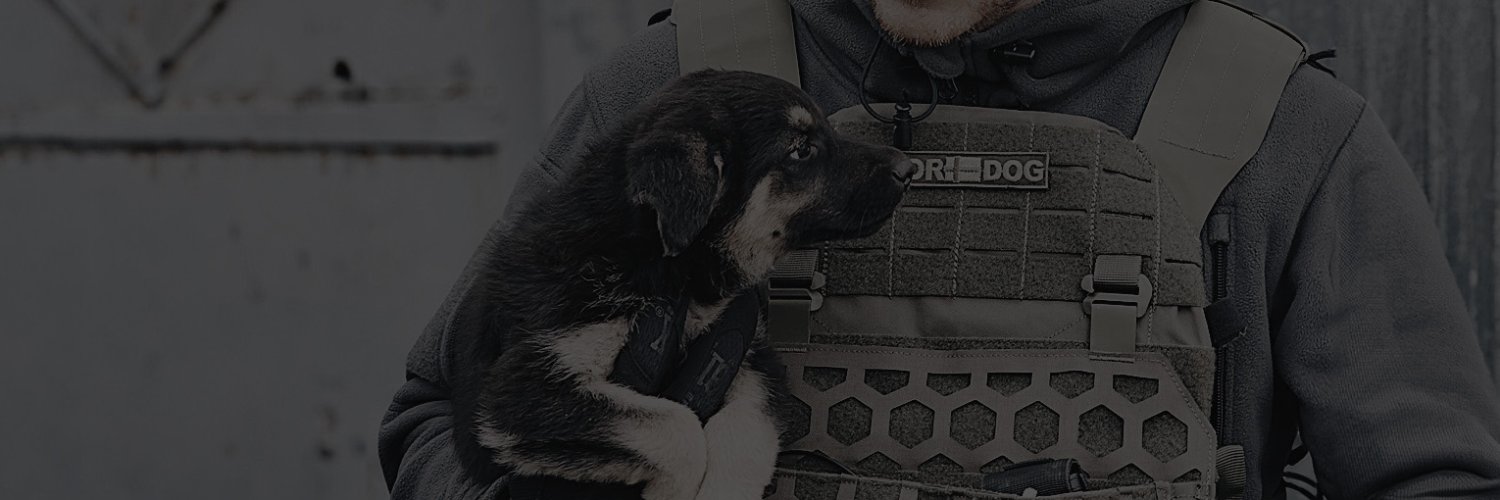 noeltock's profile banner image