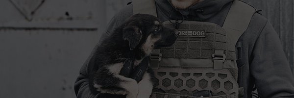 noeltock Profile Banner