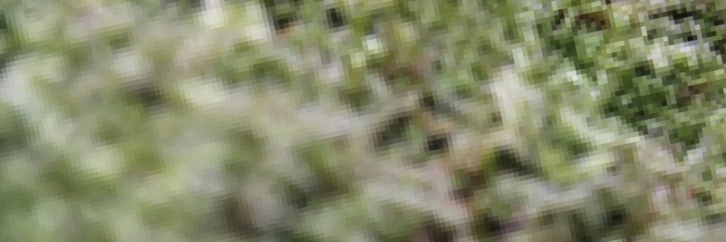 thomaskarolczak's profile banner image