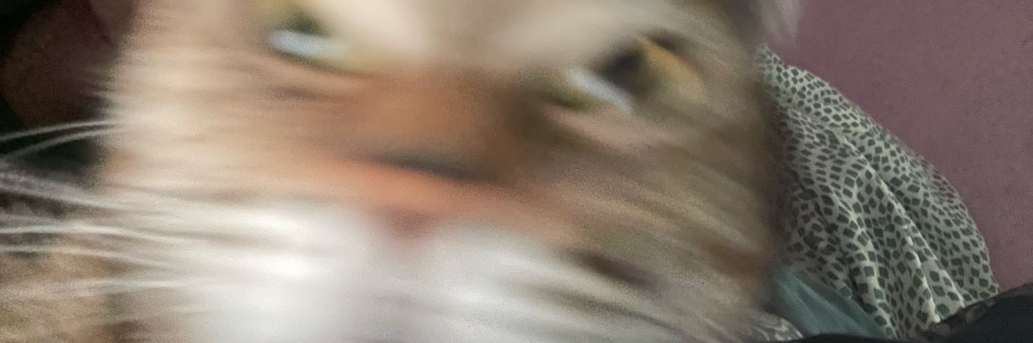 ItsShikaa's profile banner image
